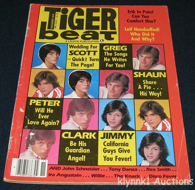 TIGER BEAT NOVEMBER 1979 Leif Garrett Clark Brandon Shaun Cassidy Erik