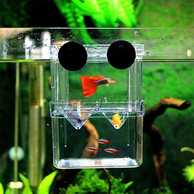 Aquarium Fish Breeding Box Shrimp Hatchery Fish Tank Isolation Incubator Breeder