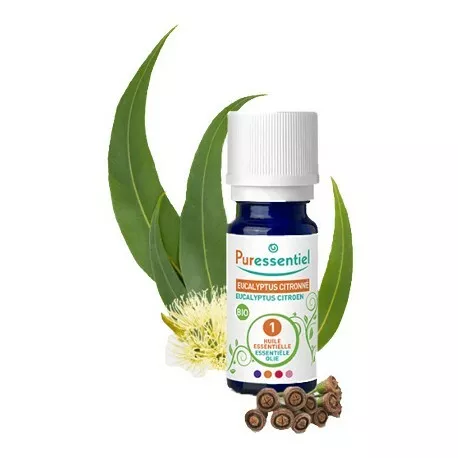HUILE ESSENTIELLE Eucalyptus Citronné Bio