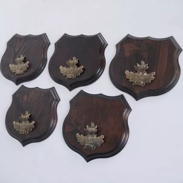 5x Wappenschilder Jabalí Af 19cm Escudo de Trofeo Hoja de Roble Portada Grande