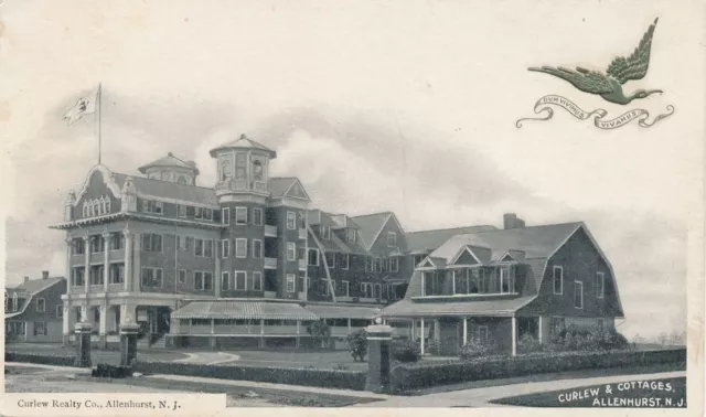 ALLENHURST NJ - Curlew and Cottages Postcard - udb (pre 1908)