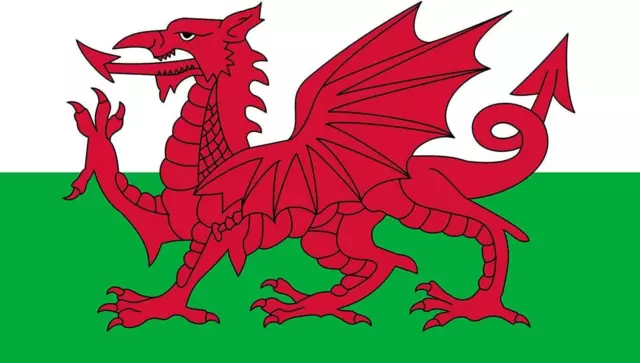 World Cup Wales National Flag Welsh Dragon Football Fan Party Decoration