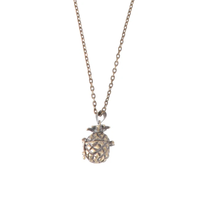 Piccolo Urno Accessorio Animali Animali Contenitore Ceneri Incisa Collana Gioielli
