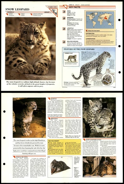 SNOW LEOPARD #141 Mammals Wildlife Fact File Fold-Out Card $2.48 - PicClick