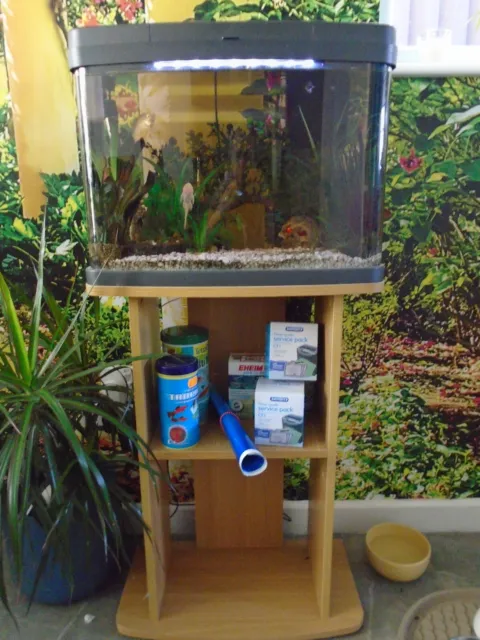 Fish Tank With Stand And Fish As In Photo