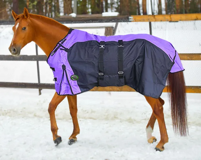 Epic Turnout Blanket Heavy Weight 1200D Ripstop Purple and Black