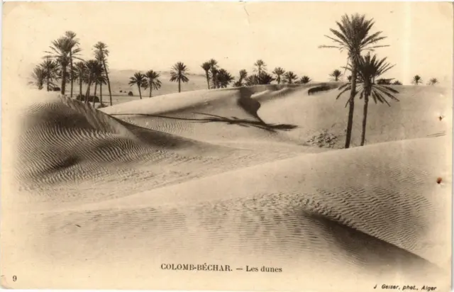 CPA AK Colomb-Béchar Les dunes MAROC (720137)