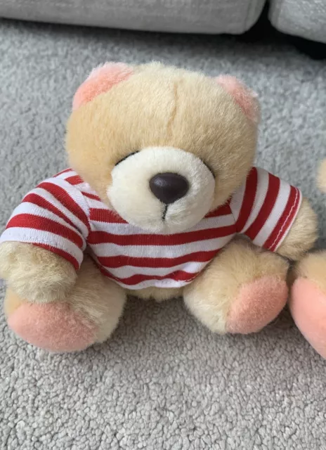 Forever friends teddy bear