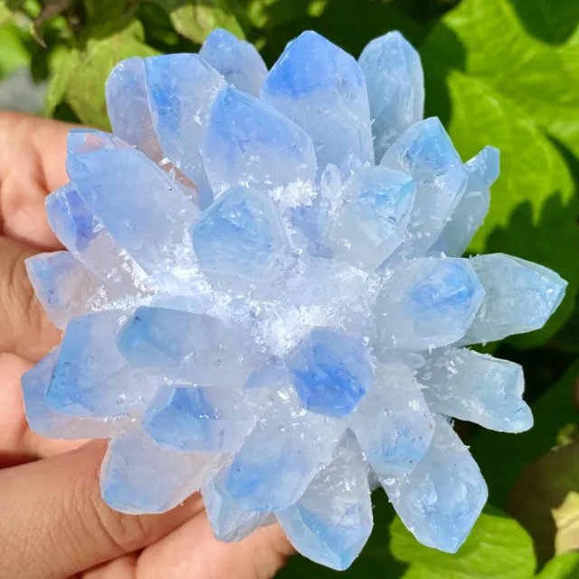 384G New Find sky blue Phantom Quartz Crystal Cluster Mineral Specimen Healing