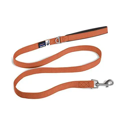 Basic Leash Orange L