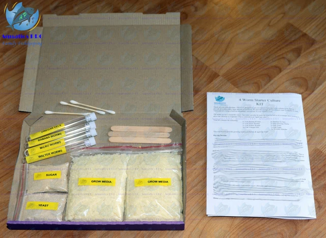 Micro Banana Walter Worms / Vinegar Eels 4x Starter Culture Fry Live Food KIT