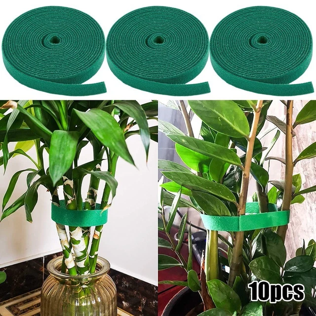 Attaches Réglables Pour Plantes - Lot De 10 - Caoutchouc Robuste - 400 Mm - Pour Tuteurer Arbres Et Arbustes