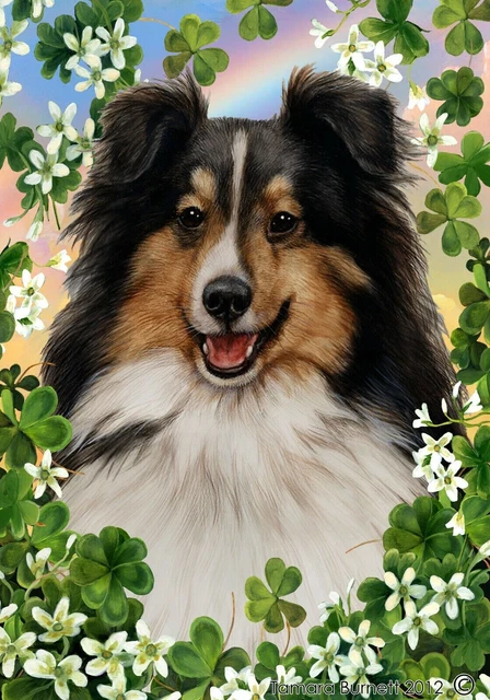 Clover Garden Flag - Tri Shetland Sheepdog Sheltie II