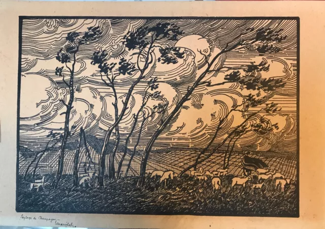 G10032-Dessin À La Plume-Encre-Paysage De Champagne-Berger-Edouard Marichal-1950