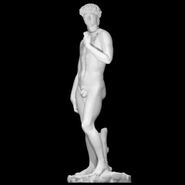 Stampa 3D del David di Michelangelo - Arte Classica per la casa 2