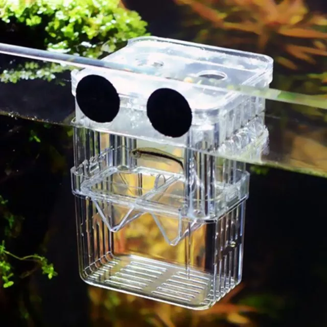 Aquarium Hatcher Trap Fish Breeding Box Tank Fry Breeder Transparent Case S/L