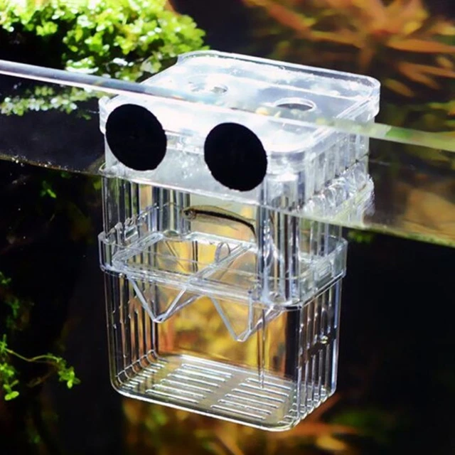 Aquarium Hatcher Trap Fish Breeding Box Tank Fry Pregnant Breeder Isolation Case