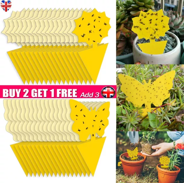 41Pack Fruit Fly Traps Yellow Fungus Gnat Killer, Double-sided Sticky Fruit Fly