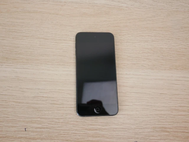 Apple iPod Touch 6 16 Go Gris En Bon État