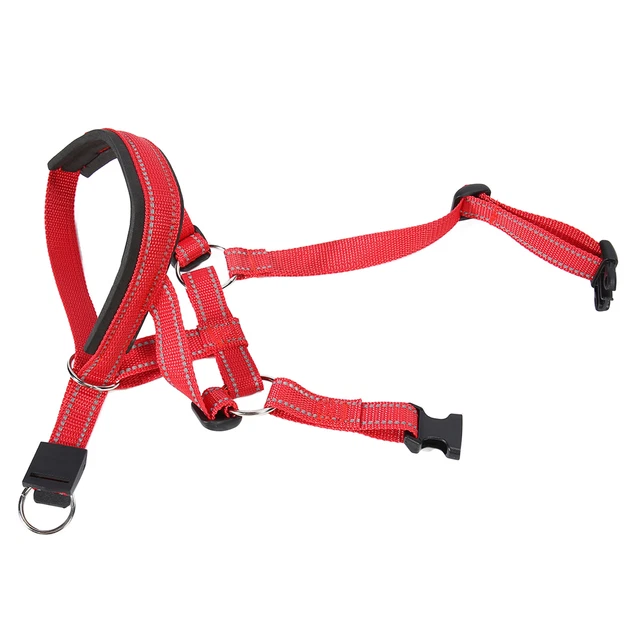 (XL) Muso Cane Collare Testa Cane Muso Regolabile Traspirante Cane Muso Prevenire