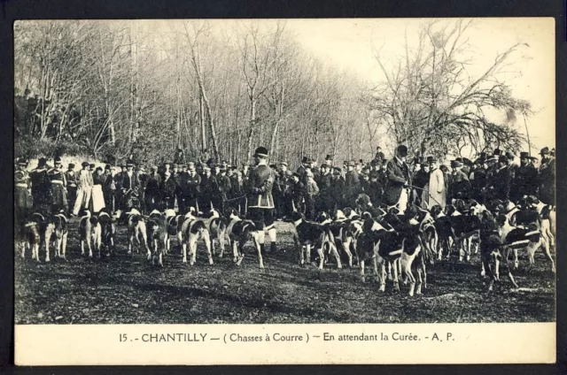 Carte Postale Ancienne CHANTILLY (Oise) CHASSE à COURRE Hunting Chasseurs Chiens