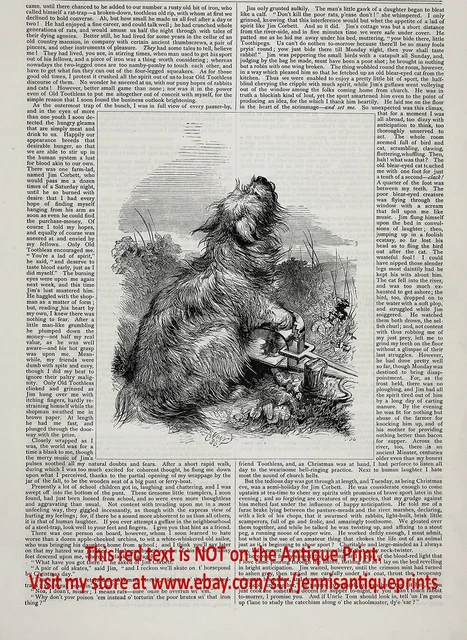 Dog Norfolk Terrier Caught in Hunting Trap, Animal Cruelty, 1890s Antique Print
