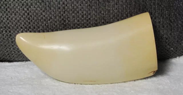 Replica Sperm Whale Tooth