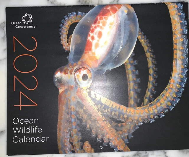 OCEAN WILDLIFE 2024 Calendar Ocean Conservancy Charity 5.99 PicClick