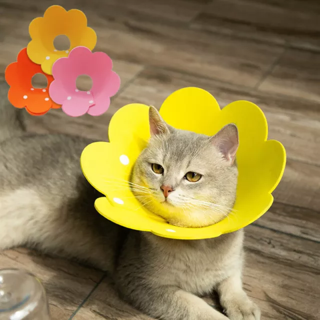 Wunde Heilung Schutz Katze Erholung Kragen Blumen Form Elisabethanische Kragen ~