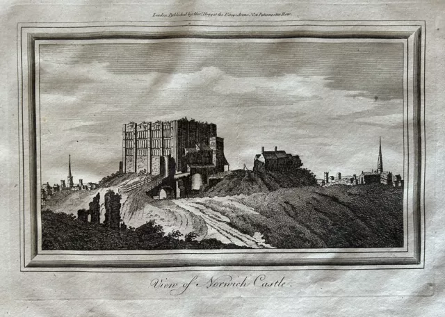 1794 View Of Norwich Castle, Norfolk Original Antique Print