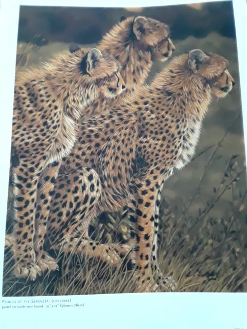 "PRINCES of the SERENGETI" CHEETAHs, Wildlife Art Print  9x12