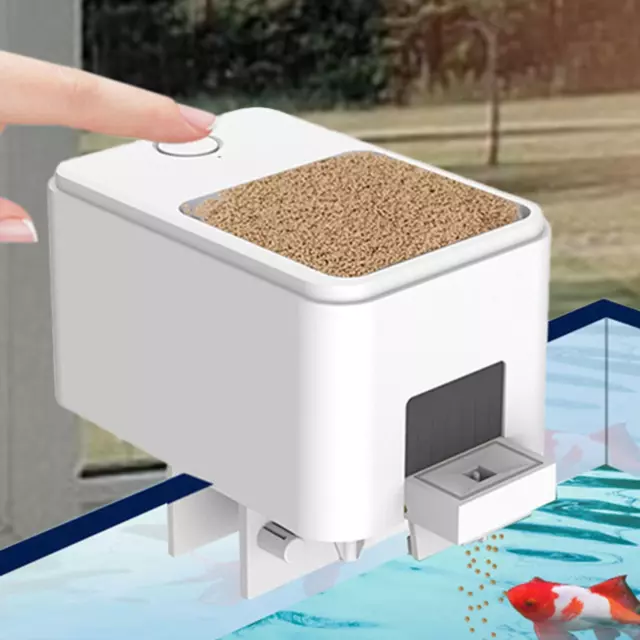 Distributeur automatique de nourriture pour poissons, alimentation pour