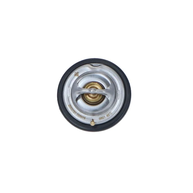 Frankberg Pompa Acqua Con Guarnizione Per Citroën E Peugeot 2.7 Diesel – Ricambio 1201G6, 7 Pale, Meccanica