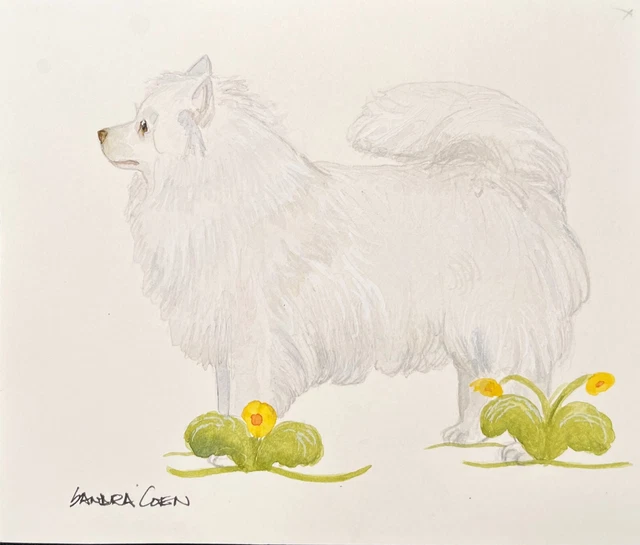American Eskimo Dog Original Watercolor by Sandra Coen standing in flowers