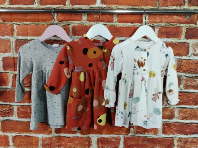 Baby Girl Bundle Age 9-12 Months Bluezoo Next H&M Long Sleeve Jersey Dress 80Cm