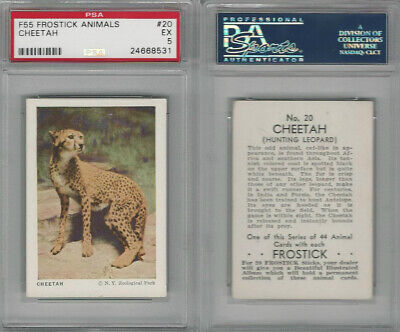 F55 Frostick, Animal Cards, 1933, #20 Cheetah, PSA 5 EX