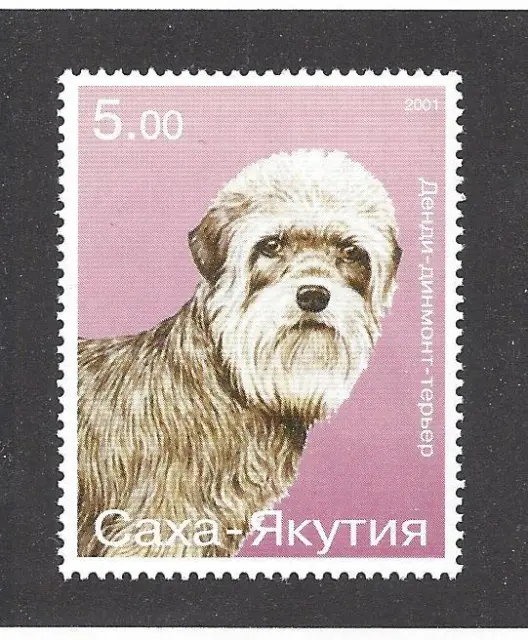 Rare Dog Art Head Study Postage Stamp DANDIE DINMONT TERRIER Sasha Yakutia MNH