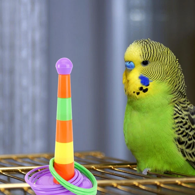 Papagei Spielzeug Für Sittiche Vogelspielzeug Bop Es Gehirn Vögel 3