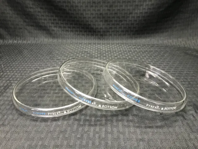 New (3 Set) PYREX Glass 150mm OD x 20mm H Petri Culture Dish Cover & Bottom 3160