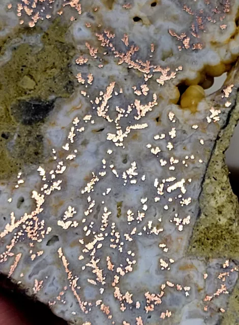 Top Pick Copper Plume Agate Lapidary Rough Slab End Cut