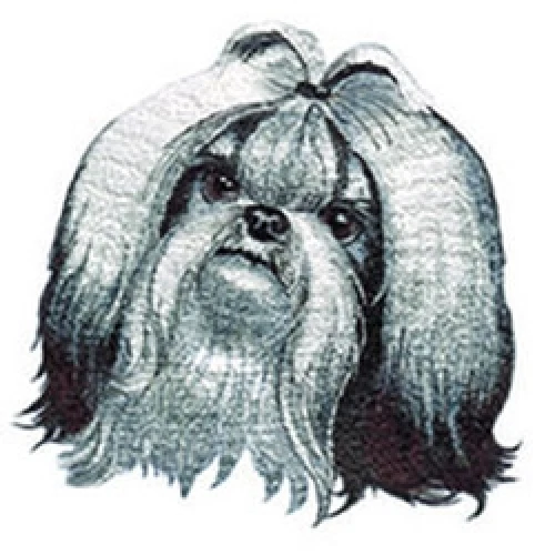 Embroidered Ladies Jacket - Shih Tzu DTL004 Sizes S - XXL