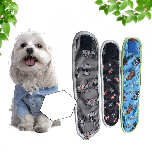3 ud. pañales y cintas abdominales reutilizables para perro para