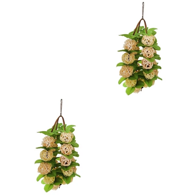 2 cordes de perroquet grignotant des jouets de rotin de rotin suspendus