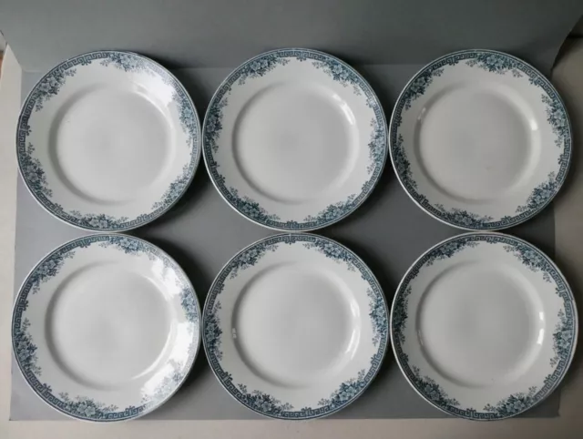 6 assiettes plates en céramique, faïence, fleurs bleues, Saint Amand, Lucy