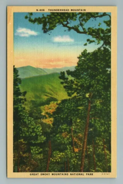 Thunderhead Mountain, Great Smoky Mts., NC Postcard