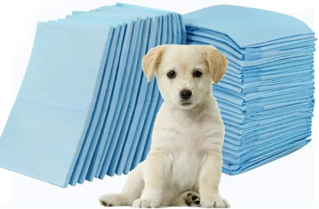 Low Cost Economy Puppy Training/Under Pads 17X24-23X24-23X36 (17X24-300 Pads)