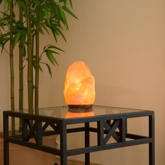 Salz Kristall Stein Lampe Salzlampe Leuchte 4 - 6 kg - in Premiumqualität Biova 2