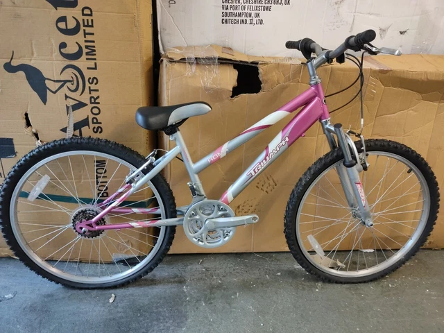 Raleigh pink 2025 bike