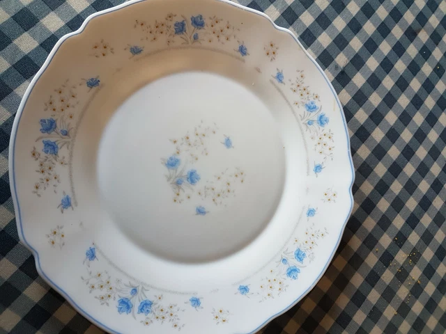 une-assiette-plate-arcopal-fleurs-bleues-roses-bleues-eur-3-00