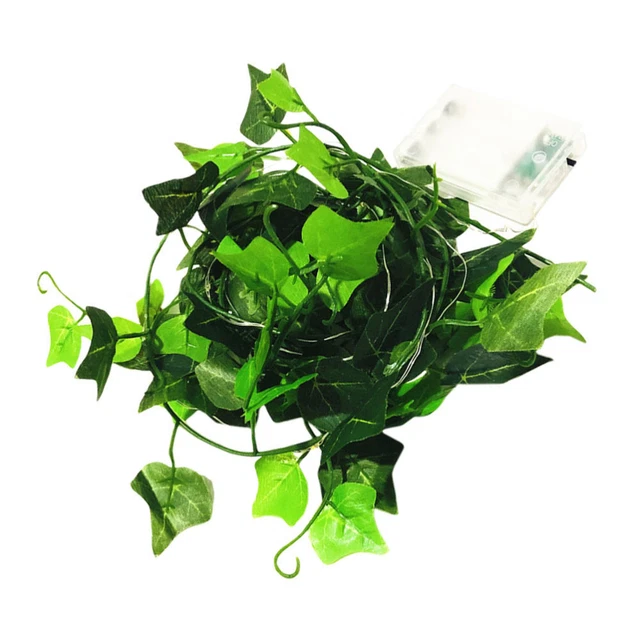 AGOTD Mini catena luminosa LED, distanza tra luci 2,5 cm, 30 LED, bianco caldo, micro